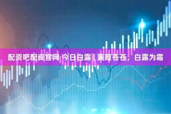 配资吧配资官网 今日白露 | 蒹葭苍苍，白露为霜
